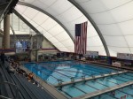 Seniors Finish in Style as Gators Swim Past Tennessee in Regular Season Finale