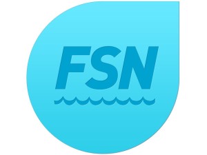 FSN Logo